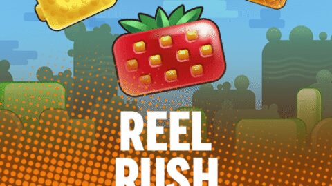 Reel Rush — pelinkehittäjän julkaisukuva